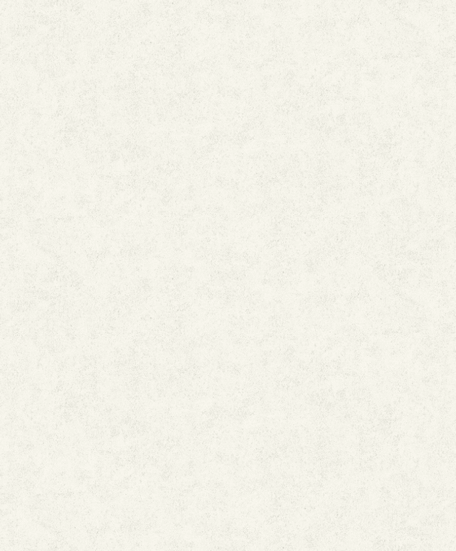 Fiona Concrete Experience 630422