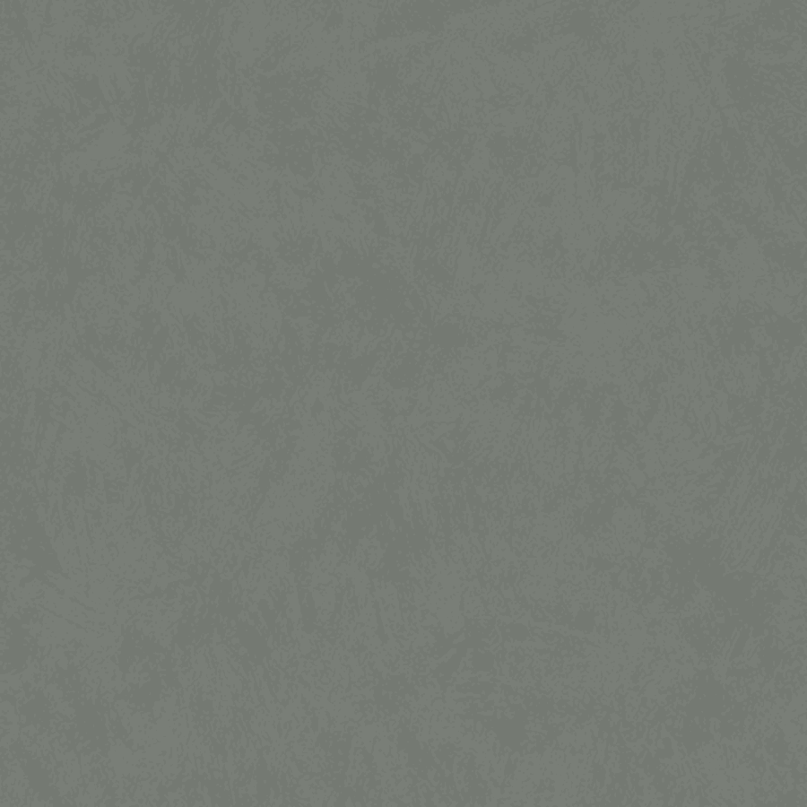 Fiona Contemporary 630539