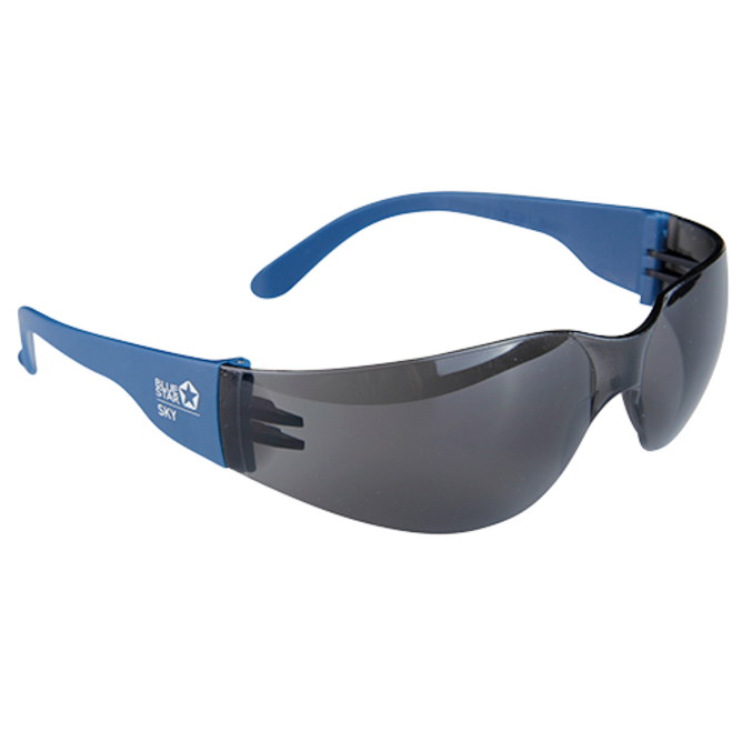 Bluestar Skyddsglasögon SKY A-D UV