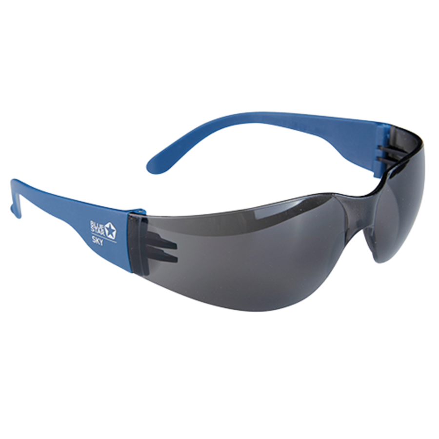 Bluestar Skyddsglasögon SKY A-D UV