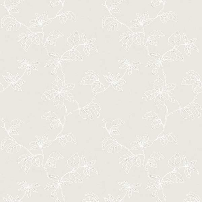 Shadow of Branches 490207