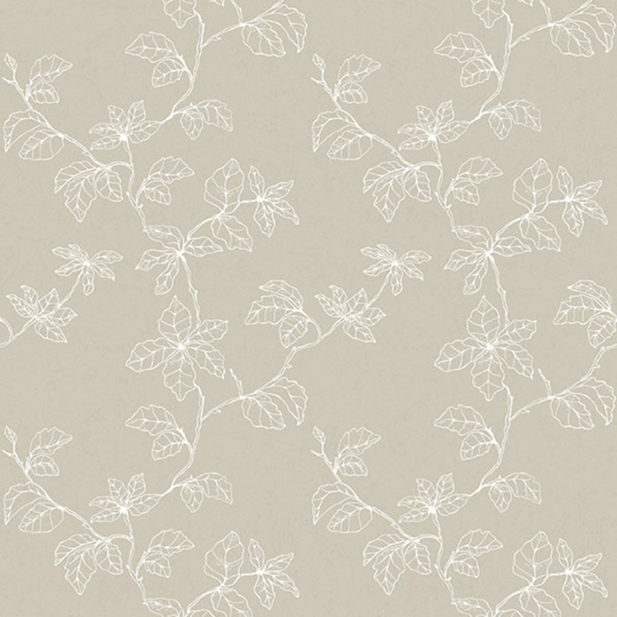 Shadows of branches 610311