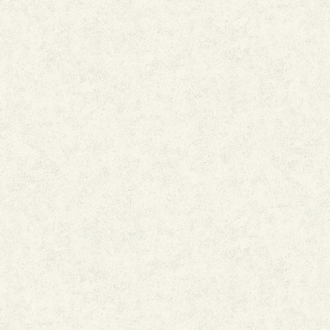 Fiona Concrete Experience 630422