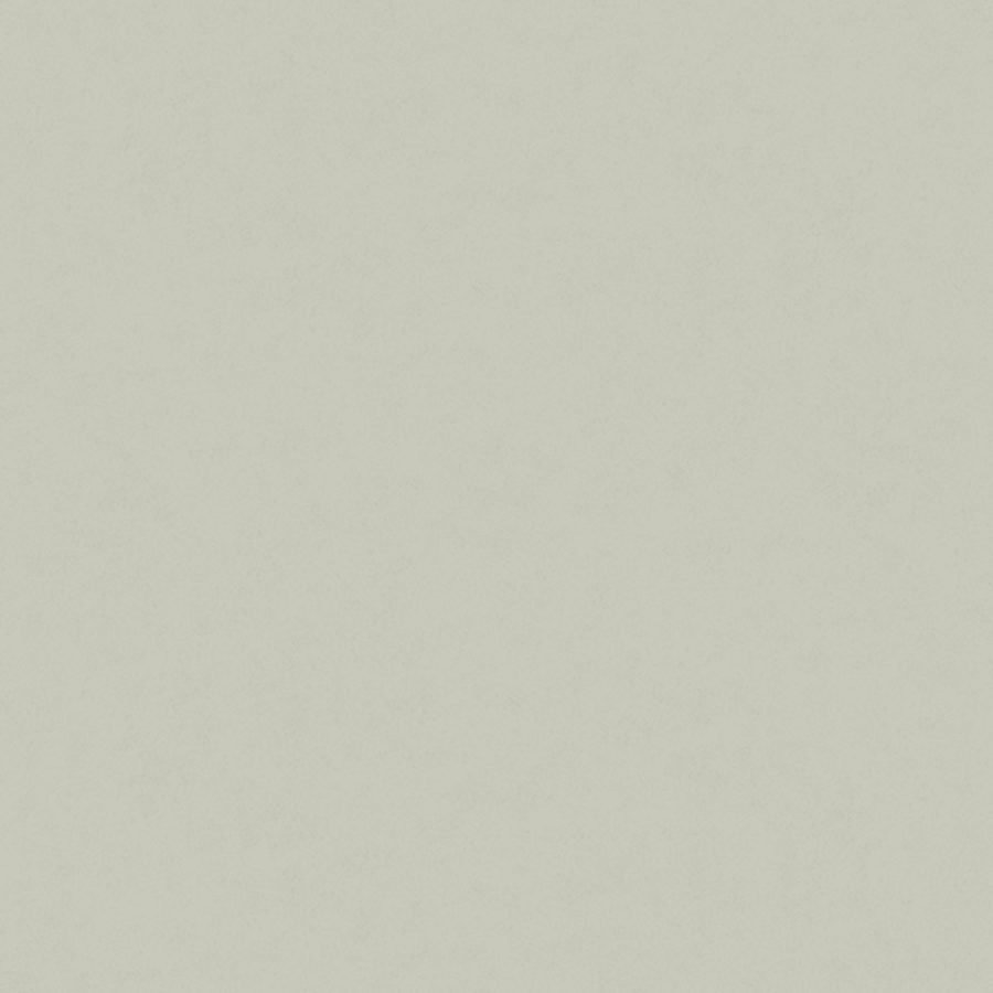 Fiona Concrete Experience 630426