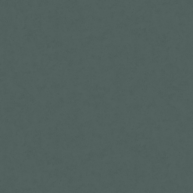 Fiona Concrete Experience 630427